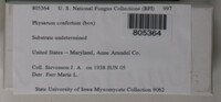 Image Associated With the Occurence